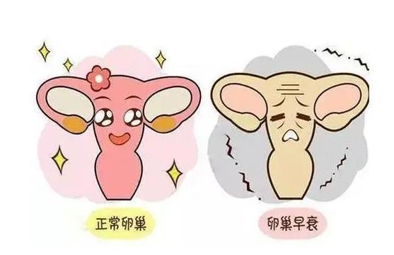 360截圖20230428095332728.jpg 360截圖20230428095332728.jpg