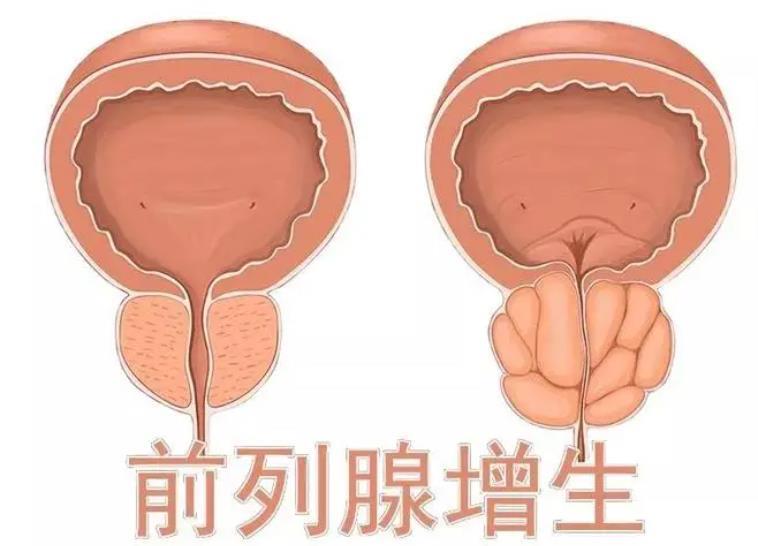 360截圖20230814103156052.jpg