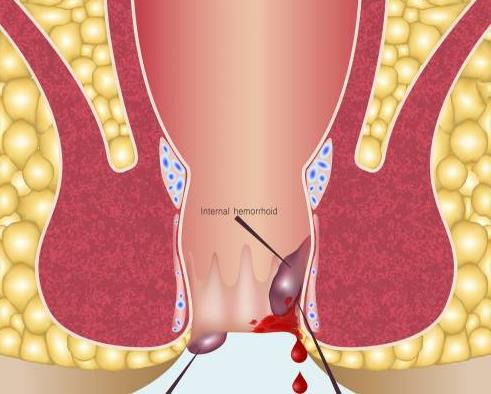 360截圖20240511101833828.jpg 360截圖20240511101833828.jpg